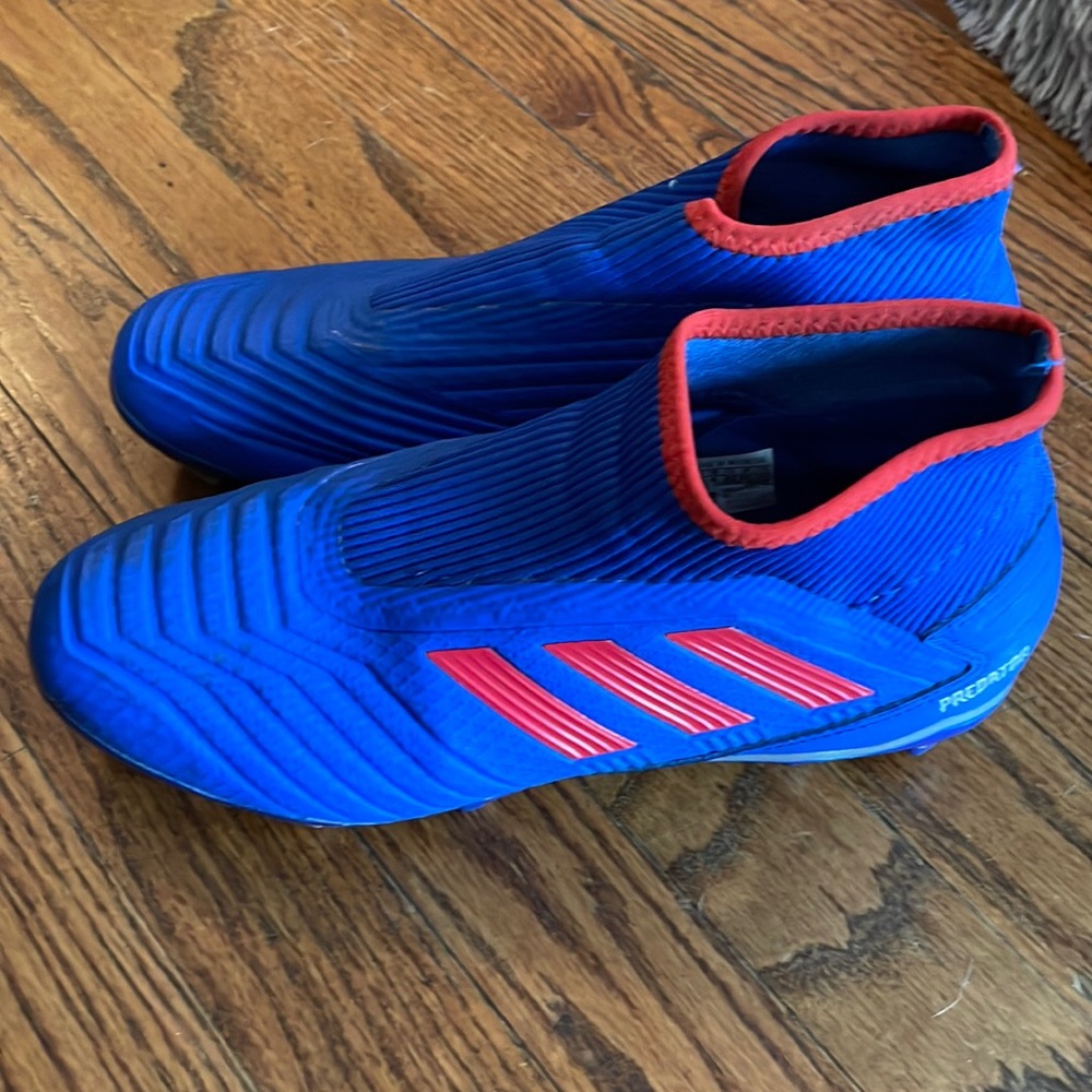 Adidas royal blue predator soccer cleats